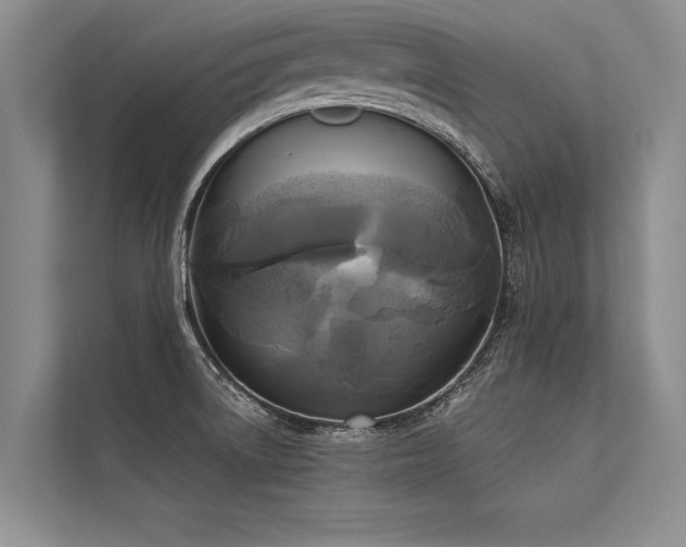 X0000113301522200909211110