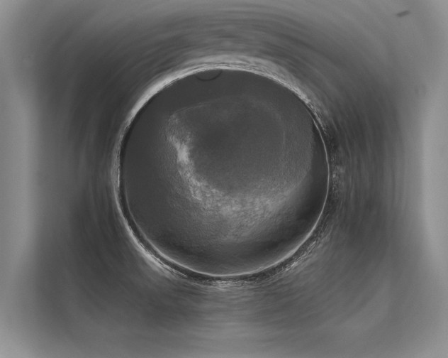 X0000113301523200909211110