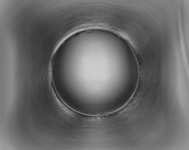 X0000113301524200909211110