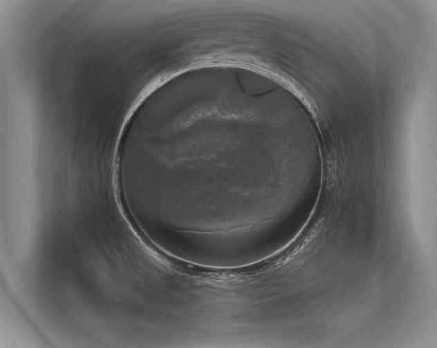 X0000113301525200909211110