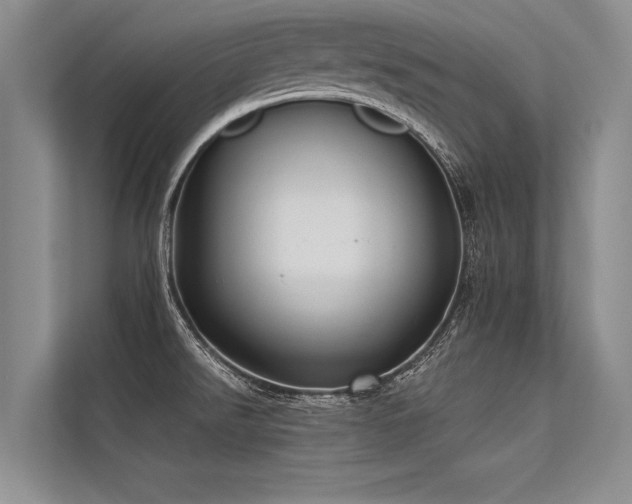 X0000113301526200909211110