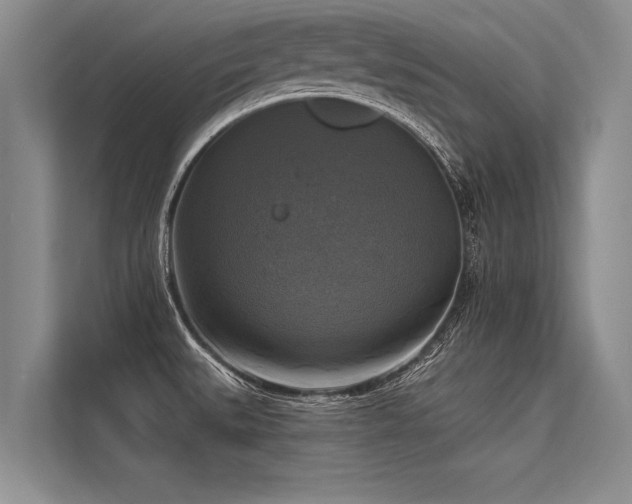 X0000113301527200909211110