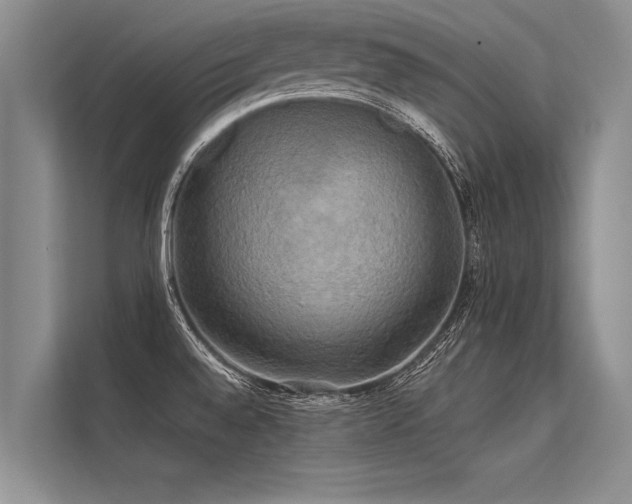 X0000113301528200909211110