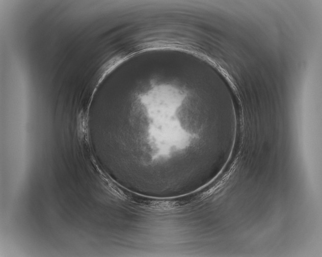 X0000113301529200909211111