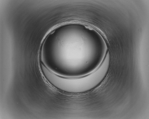 X0000113301530200909211111