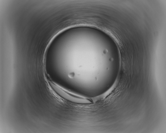 X0000113301532200909211111