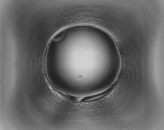 X0000113301534200909211111