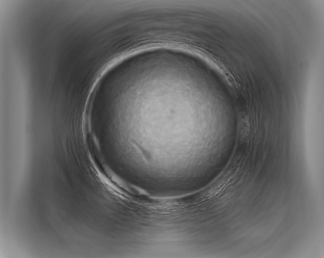 X0000113301535200909211111