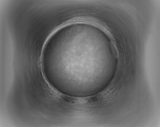 X0000113301536200909211111