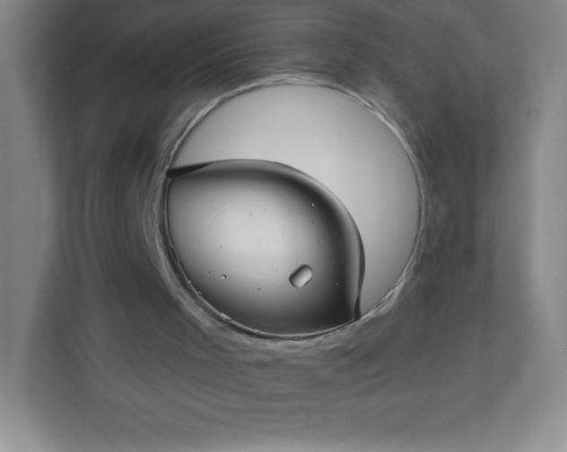 X0000113300001200909281114