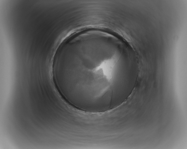 X0000113300002200909281114