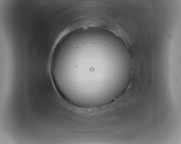 X0000113300003200909281114