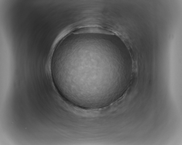 X0000113300004200909281114