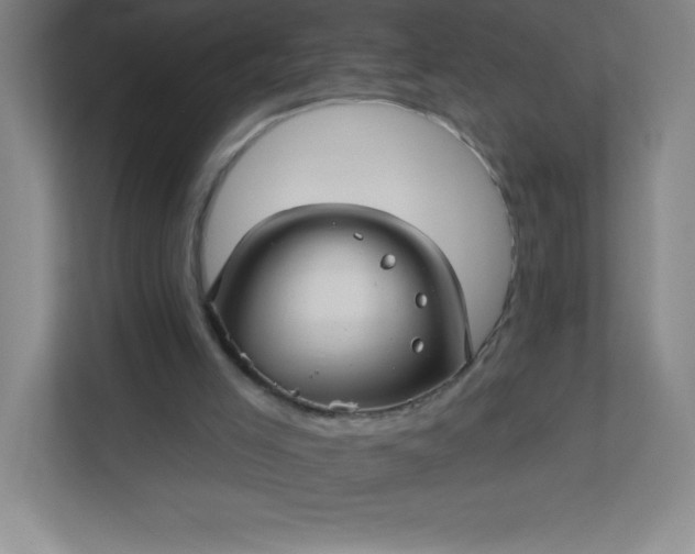 X0000113300005200909281114