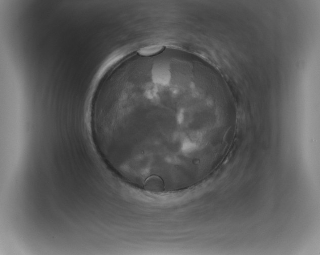 X0000113300006200909281114