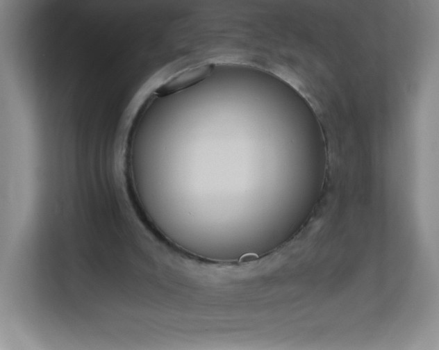 X0000113300007200909281114