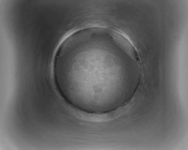 X0000113300008200909281114