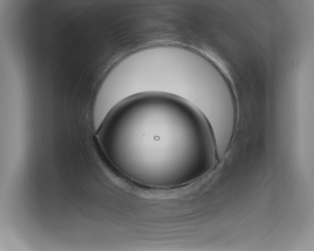 X0000113300009200909281114