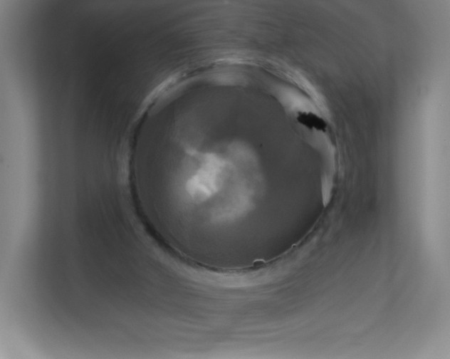 X0000113300010200909281114