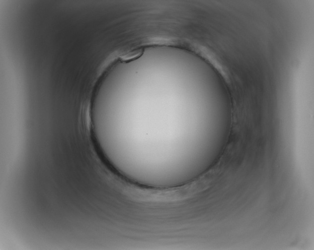 X0000113300011200909281114