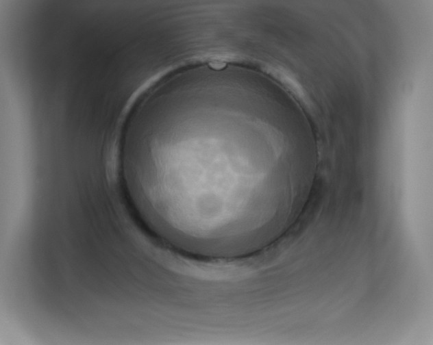 X0000113300012200909281114