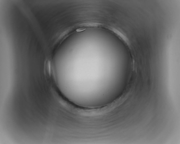 X0000113300013200909281113