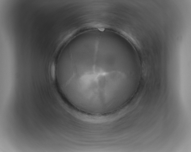 X0000113300014200909281113