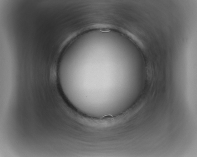 X0000113300015200909281113