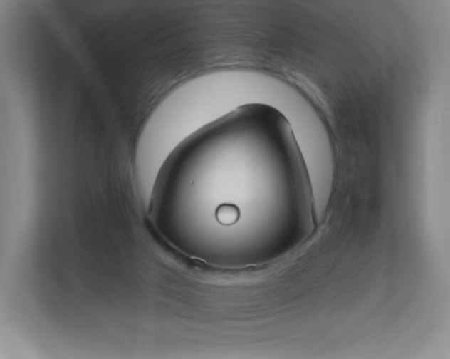 X0000113300017200909281113