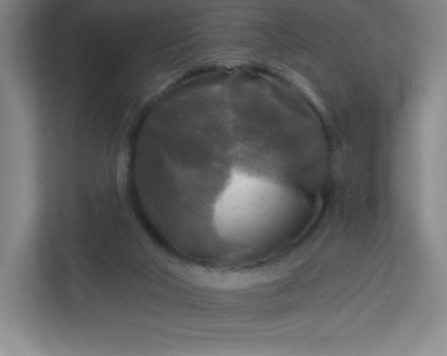 X0000113300018200909281113