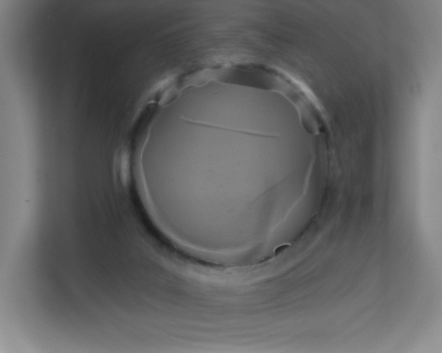 X0000113300019200909281113