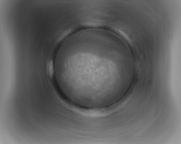 X0000113300020200909281113