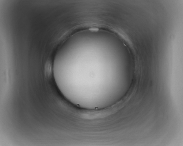 X0000113300021200909281113