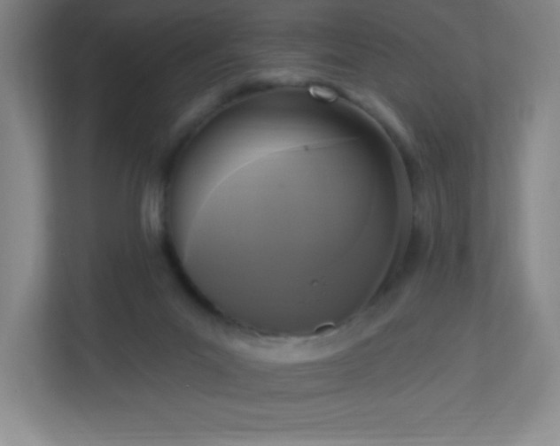 X0000113300023200909281113