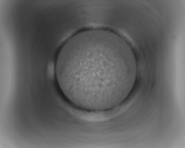 X0000113300024200909281113