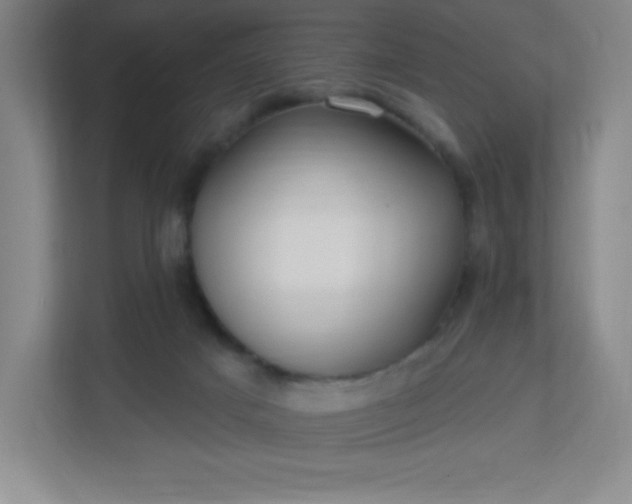 X0000113300025200909281113