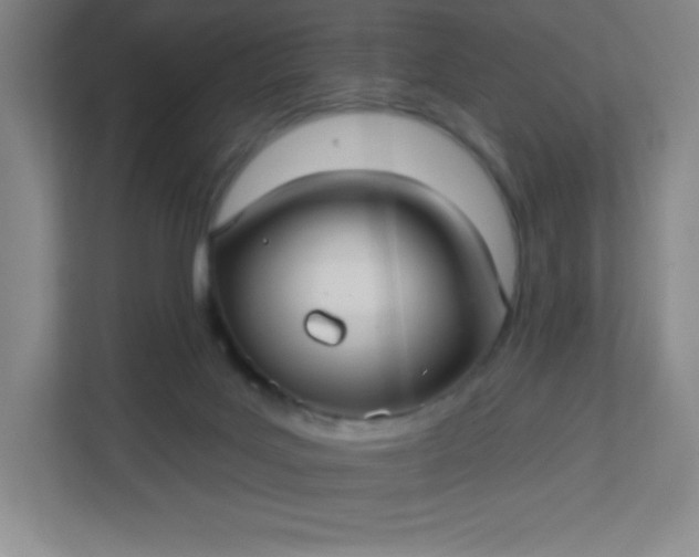 X0000113300027200909281113