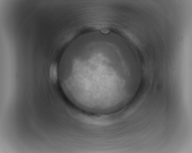 X0000113300028200909281113