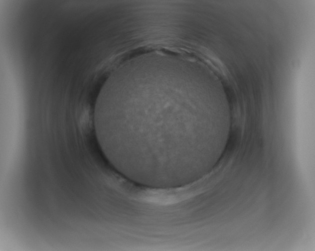 X0000113300029200909281113