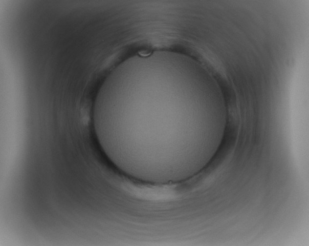 X0000113300032200909281113