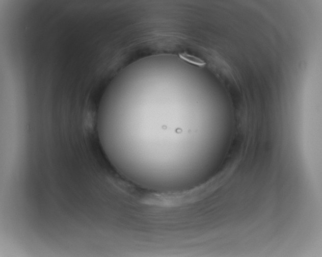 X0000113300033200909281113