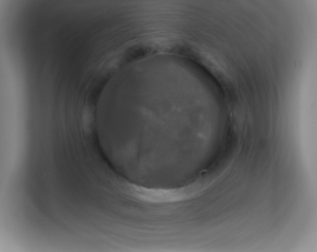 X0000113300034200909281113