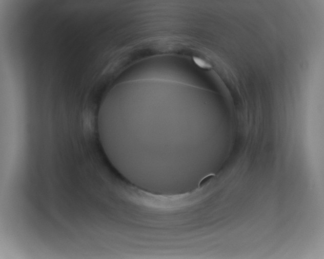 X0000113300035200909281113