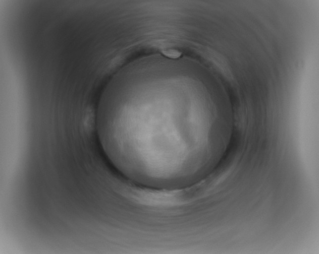 X0000113300036200909281113