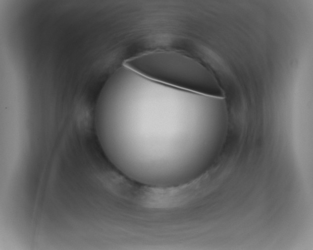 X0000113300037200909281113