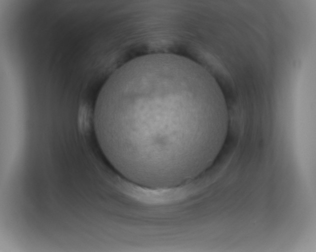 X0000113300038200909281113