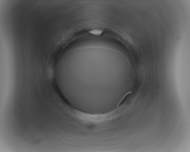 X0000113300039200909281113