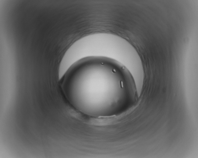 X0000113300041200909281113