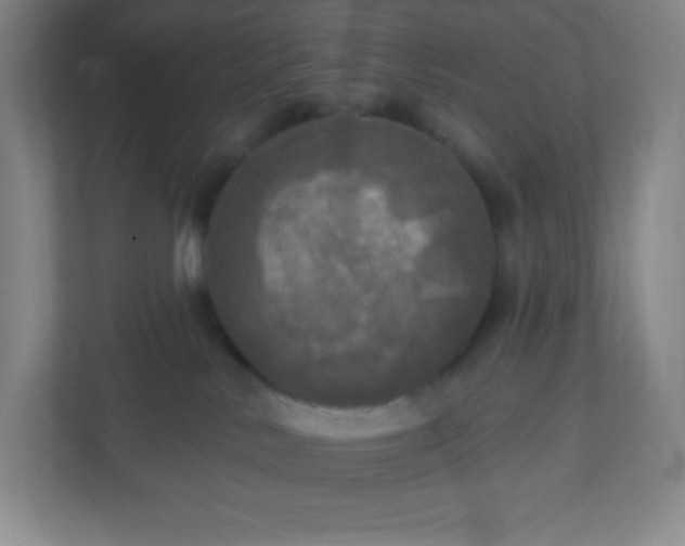 X0000113300042200909281113