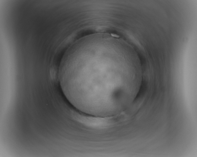 X0000113300044200909281113